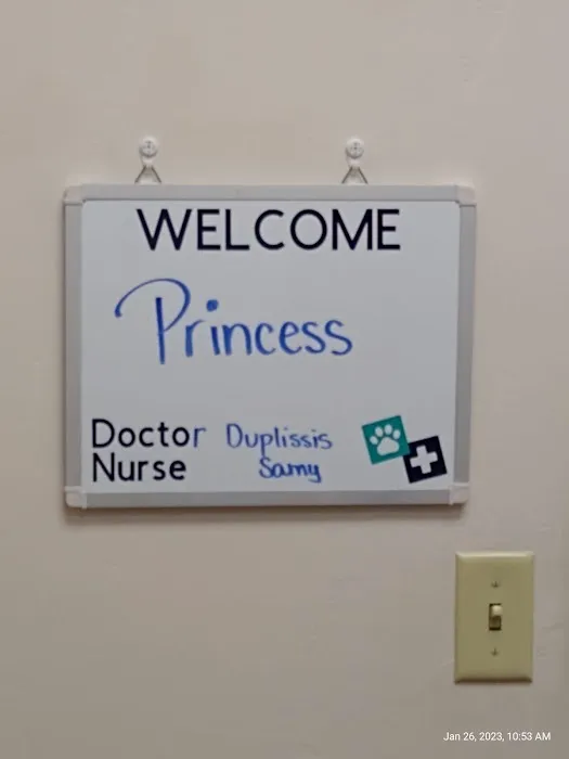 Dr. Marnie Duplissis, DVM CVCP Picture 3