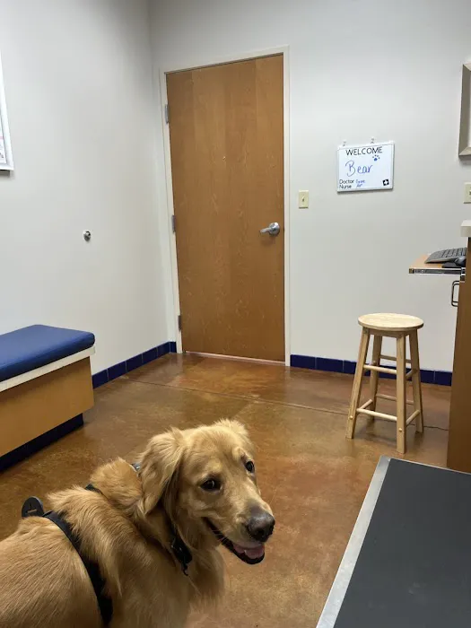 McClintock Animal Care Center Picture 1