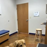McClintock Animal Care Center ico