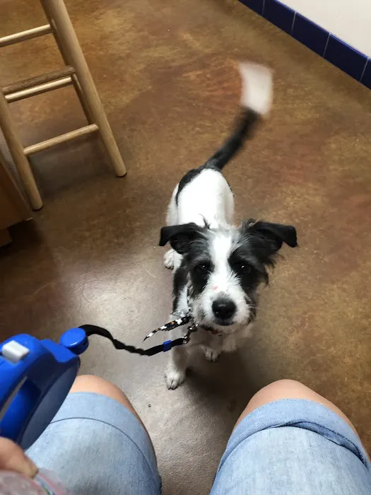 McClintock Animal Care Center Picture 7