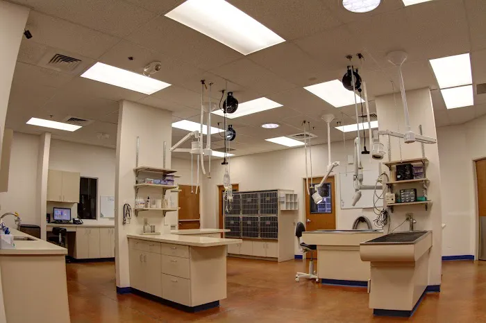McClintock Animal Care Center Picture 10