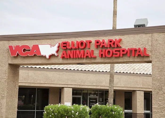 VCA Elliot Park Animal Hospital Picture 2