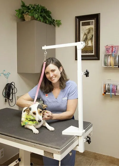 VCA Elliot Park Animal Hospital Picture 7