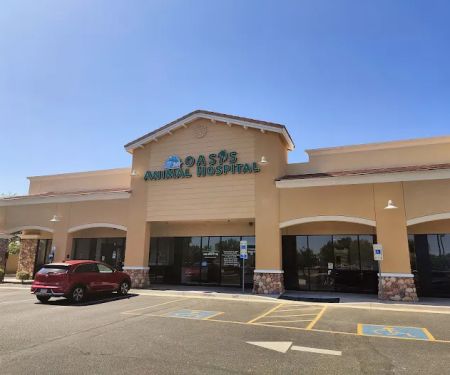 Oasis Animal Hospital