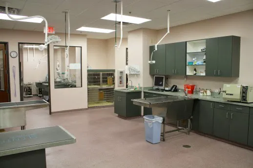 Oasis Animal Hospital Picture 3