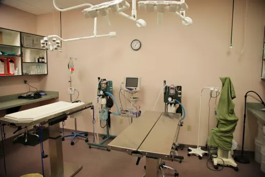 Oasis Animal Hospital Picture 2