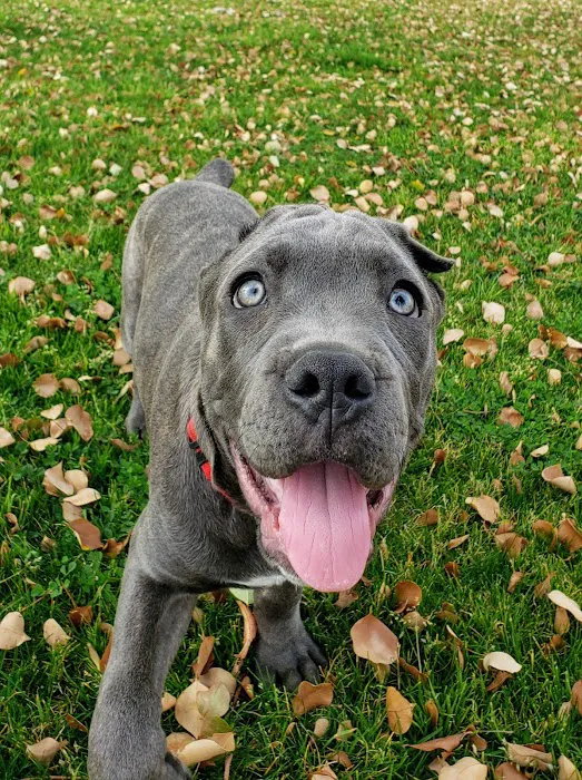 Oasis Animal Hospital Picture 8