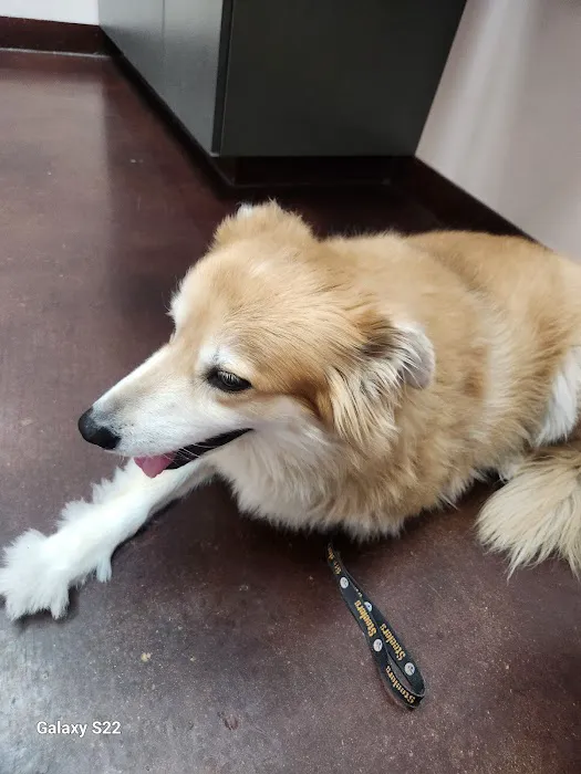 Oasis Animal Hospital Picture 7