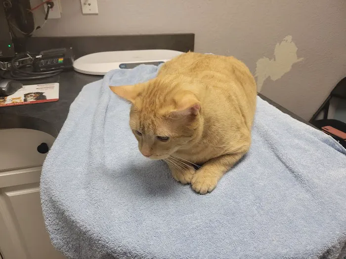 Prestige Animal Clinic Picture 9