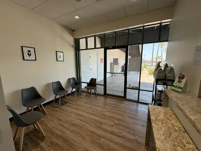 Amethyst Veterinary Clinic Picture 2