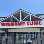 Amethyst Veterinary Clinic