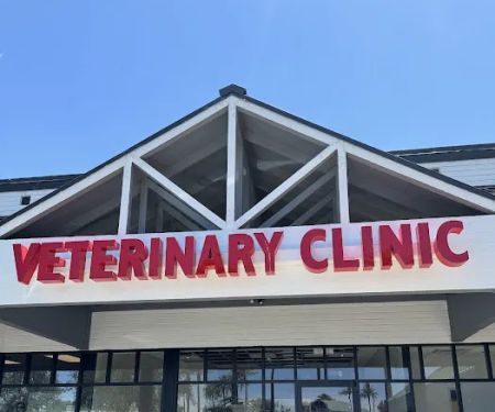 Amethyst Veterinary Clinic