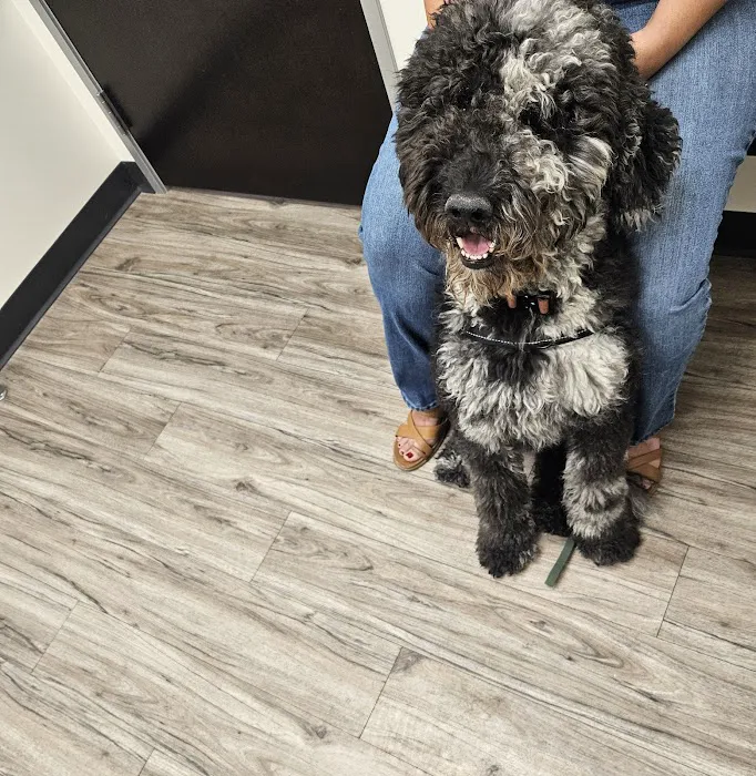 Amethyst Veterinary Clinic Picture 4