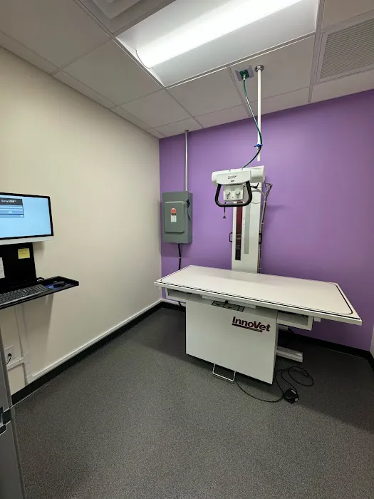 Amethyst Veterinary Clinic Picture 8