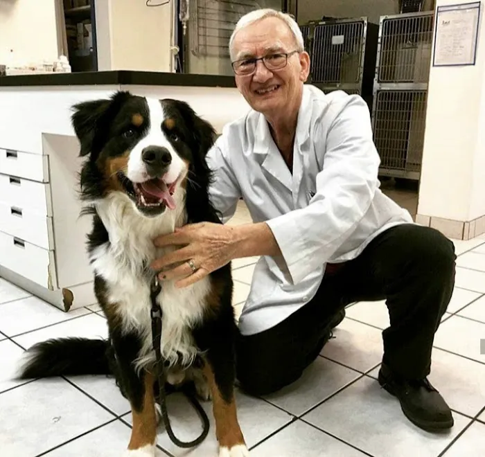 Chandler Small Animal Clinic Picture 8