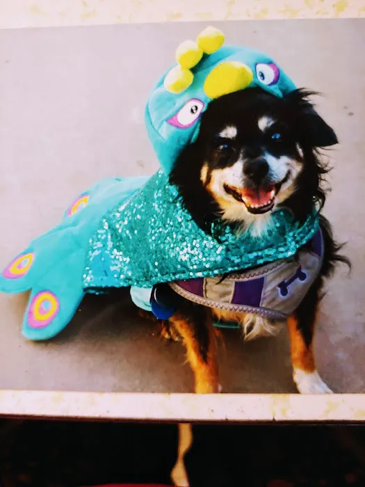 Banfield Pet Hospital Picture 10