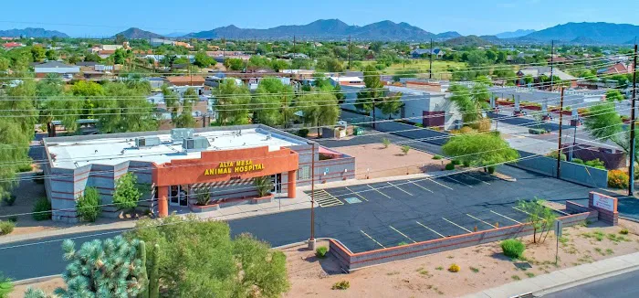 Alta Mesa Animal Hospital Picture 1