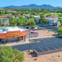 Alta Mesa Animal Hospital ico