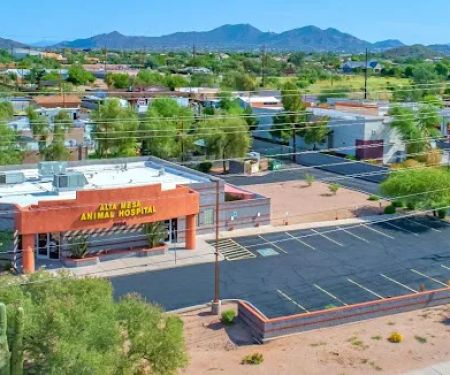 Alta Mesa Animal Hospital