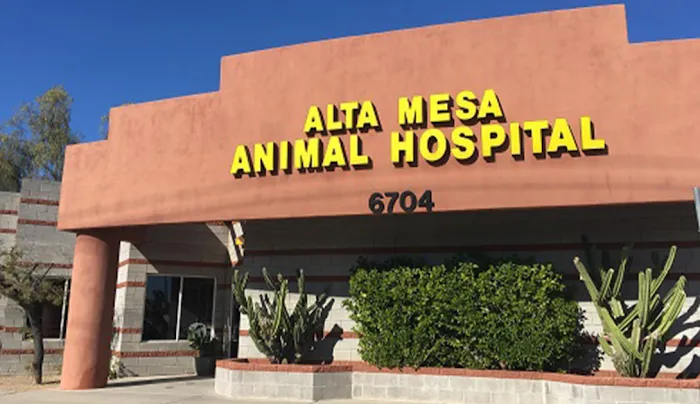 Alta Mesa Animal Hospital Picture 4