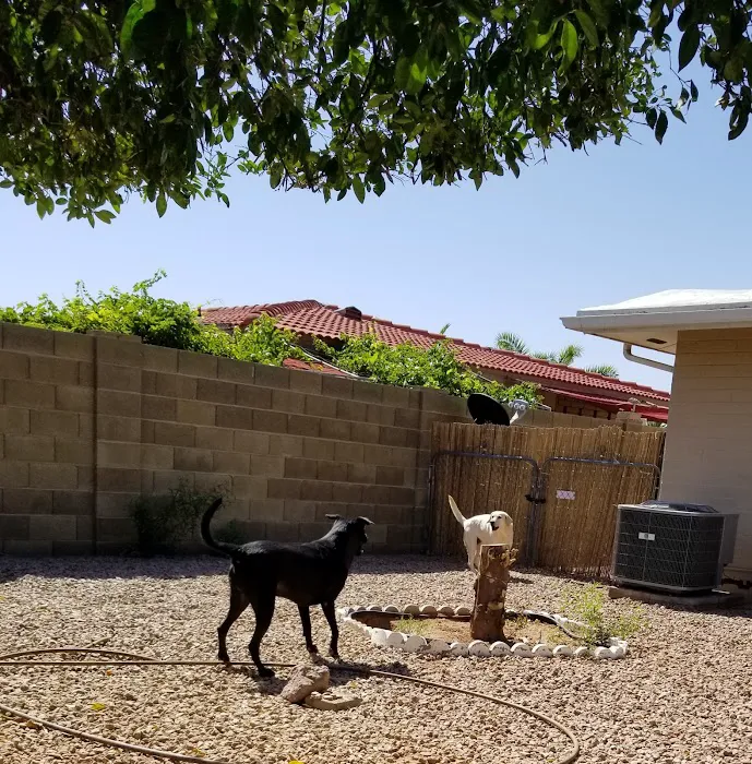 Alta Mesa Animal Hospital Picture 6
