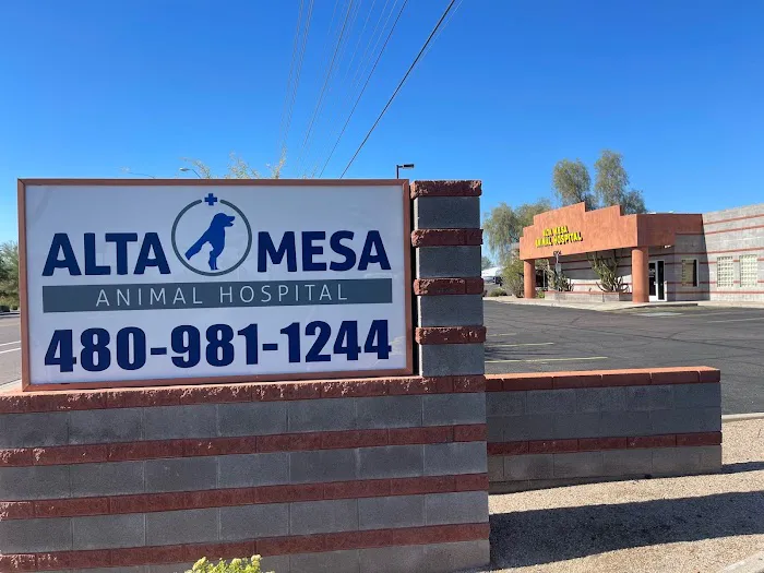 Alta Mesa Animal Hospital Picture 10