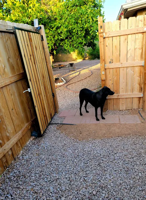 Alta Mesa Animal Hospital Picture 8