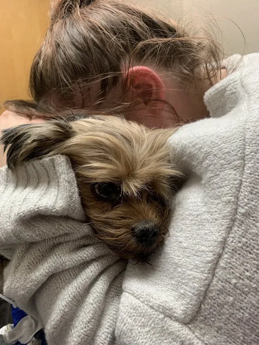 Lovet Pet Health Care - Las Sendas Picture 10