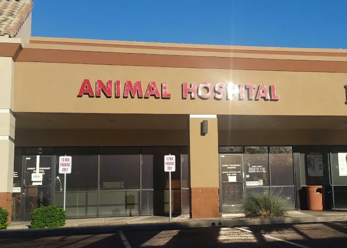 Comet Veterinary Hospital Picture 3