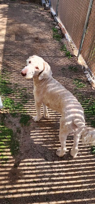 Comet Veterinary Hospital Picture 7
