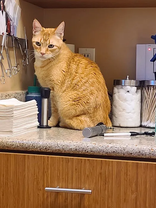 Adobe Veterinary Clinic Picture 2