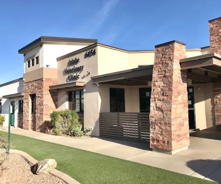 Adobe Veterinary Clinic