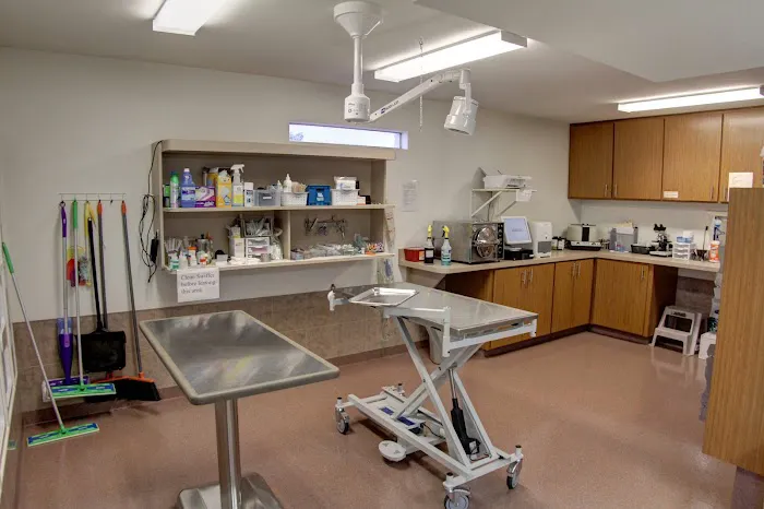 Adobe Veterinary Clinic Picture 4