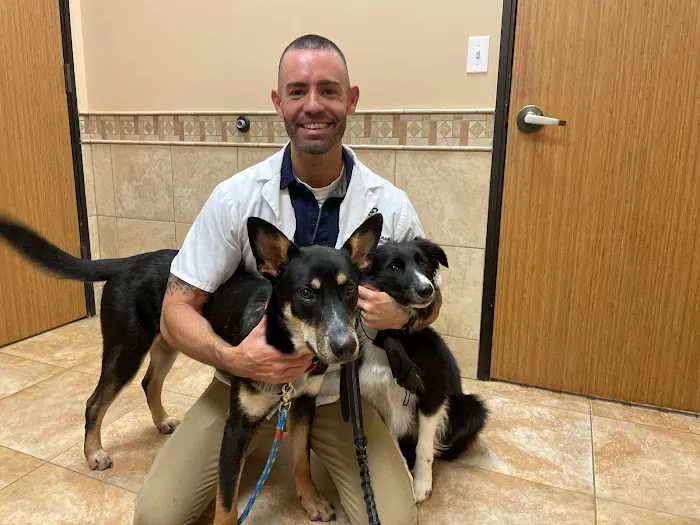 Adobe Veterinary Clinic Picture 9
