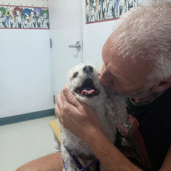 Pet Haven Animal Hospital Picture 5