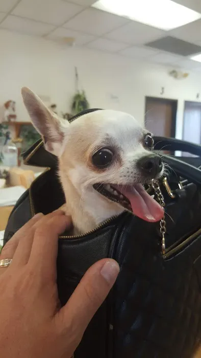 Animal House Veterinary Hospital Picture 1