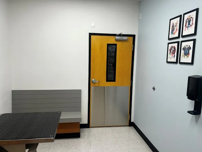 PetSmart Veterinary Services - Las Vegas (McCarran Mkt P) Picture 5