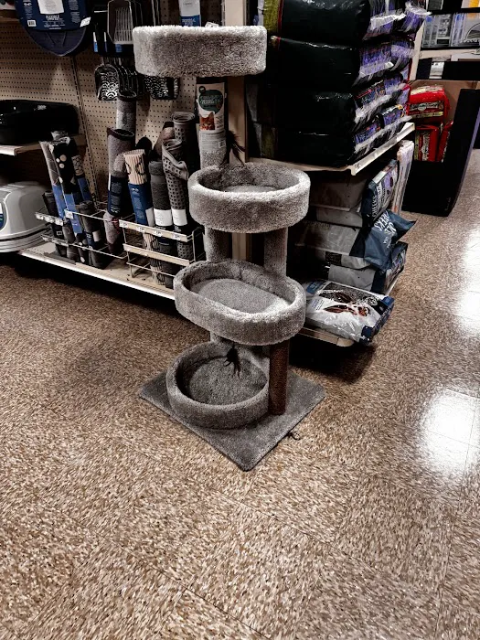 PetSmart Veterinary Services - Las Vegas (McCarran Mkt P) Picture 8