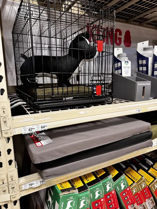 PetSmart Veterinary Services - Las Vegas (McCarran Mkt P) Picture 9