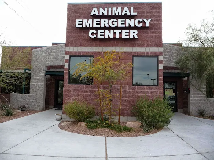 Animal Emergency Center of Las Vegas and Henderson Picture 2
