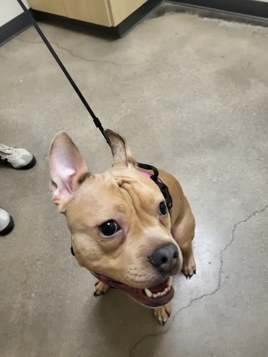 Vetco Total Care Animal Hospital Picture 5