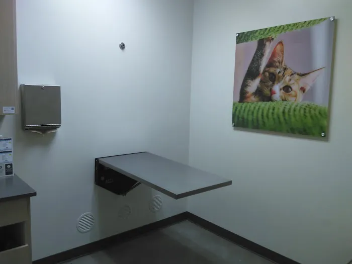 Vetco Total Care Animal Hospital Picture 9
