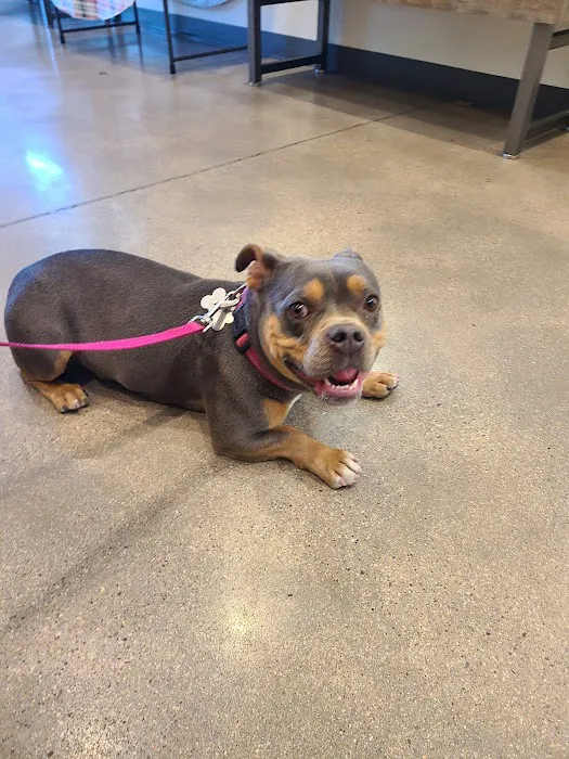 Vetco Total Care Animal Hospital Picture 8