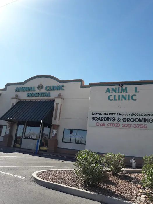 All American Animal Hospital Picture 2
