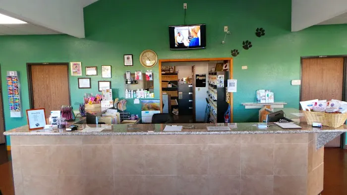 All American Animal Hospital Picture 5