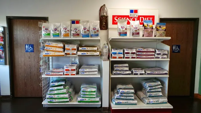 All American Animal Hospital Picture 6