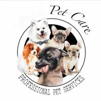 Vet and Grooming Las Vegas ico