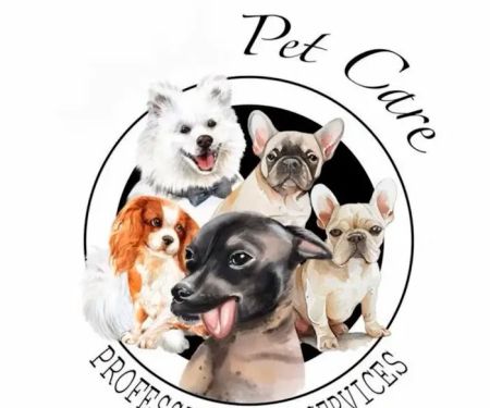 Vet and Grooming Las Vegas