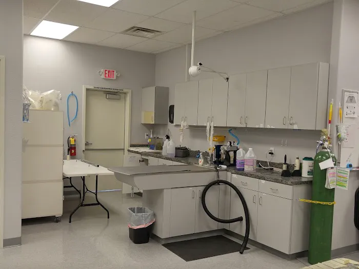 Spay & Neuter Center of Southern Nevada Picture 1