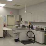 Spay & Neuter Center of Southern Nevada